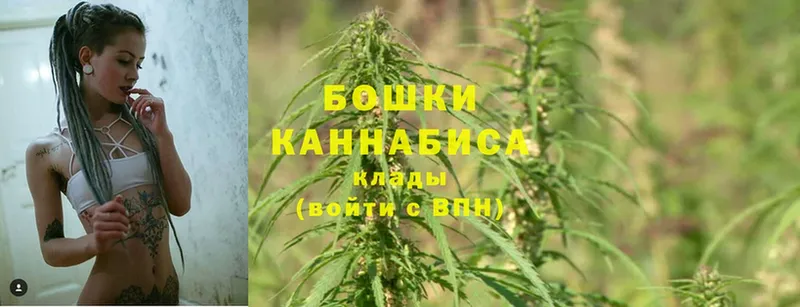 цена   Зуевка  Бошки марихуана SATIVA & INDICA 